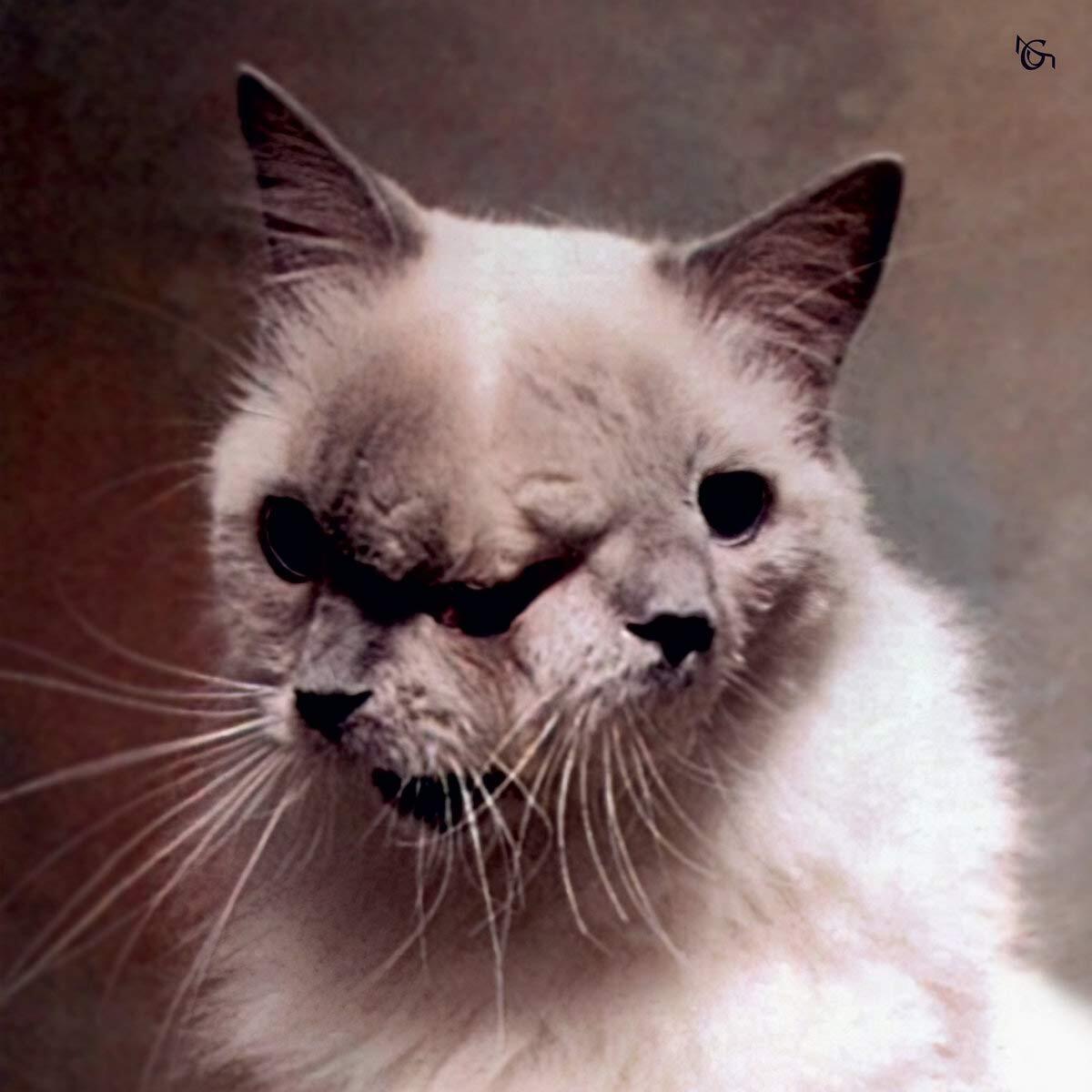 Mouchoir Etanche Une Fille Petrifiee (Vinyl LP)