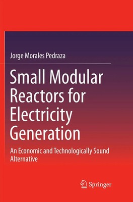 Jorge Morales Pedraza | Small Modular Reactors for Electricity Generation | Buch