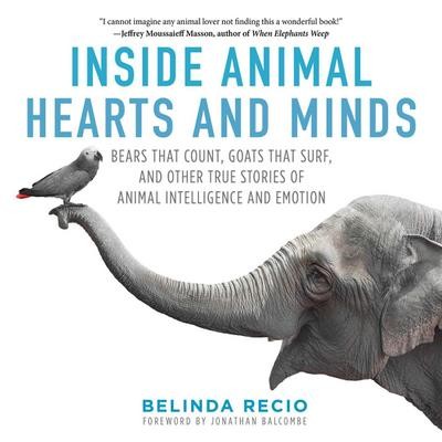Inside Animal Hearts and Minds: Bears That Count, Goats That Surf, and Othe ...