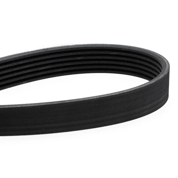 CONTITECH 6PK1740 Correa trapecial poli V para FORD COURIER Pick-up 1740mm - Imagen 3 de 4