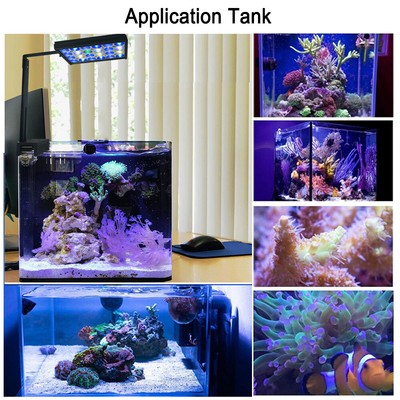 best dog grooming wipes