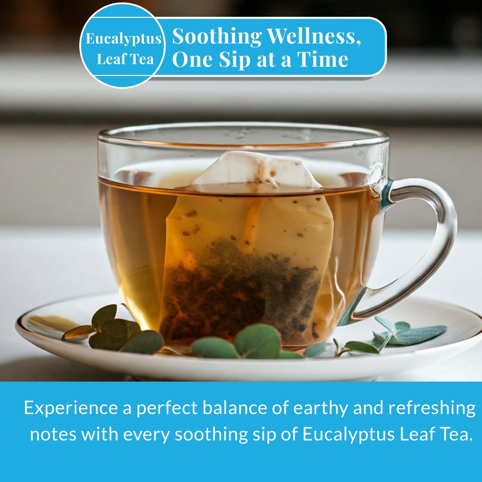 Bags, Eucalyptus Leaves Tea, Herbal Tea For Asthma Relief