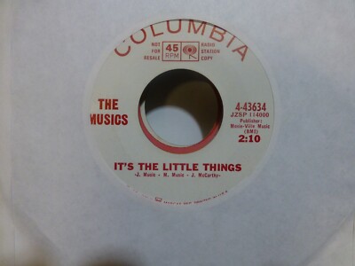 THE MUSICS IT'S  THE LITTLE THINGS & B/W SAME SONG PROMO NEAR MINT 45
