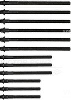 Victor Reinz 14-32310-01 Zylinderkopfschraubensatz For BMW BMW (Brilliance)