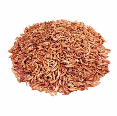 StaWa Gammarus Bachflohkrebse getrocknet | natürlicher ... 2.5 kg (36,00 € / kg)