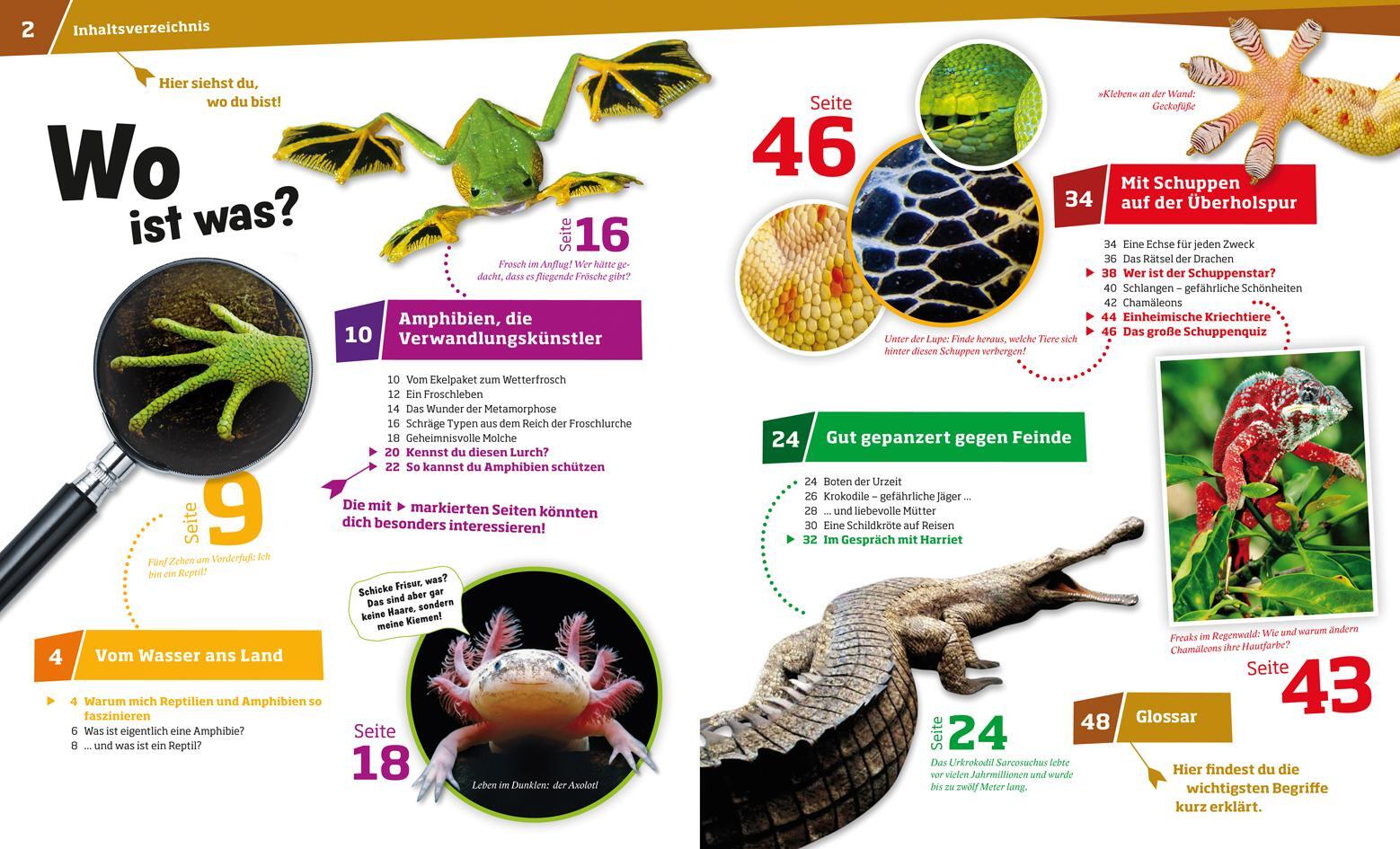 Thumbnail - Alexandra Rigos Was Ist Was Band 20 Reptilien Und Amphibien ...