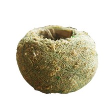  5 Pcs Terrarium Moss Garden Pots Flower for Plants Bonsai Planter