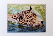 Diamond Dotz Squares Jungle Prince Diamond Facet Art Brand New Unopened Kit