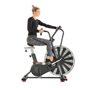 airdyne bike ebay