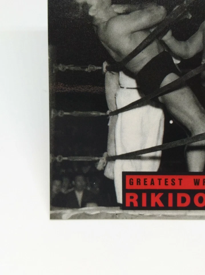 RIKIDOZAN Pro-Wrestling Cards BBM 1995 NO.210 Very rare Japan Japanese - Image 4 of 4