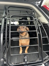 Hundebox Volvo XC90 Inklusive Alu-Rampe Und Schmutzwanne. Nie Benutzt.