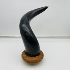 Water Buffalo Horn Mounted on Wood & Brass Base 10-1/2" Tall Paperweight
