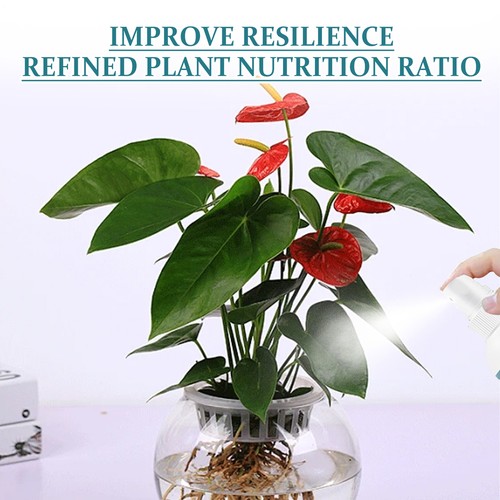 Hydroponic Plant Nutrient Solution 3.38fl.oz Plant Nutrient Liquid - Picture 11 of 12