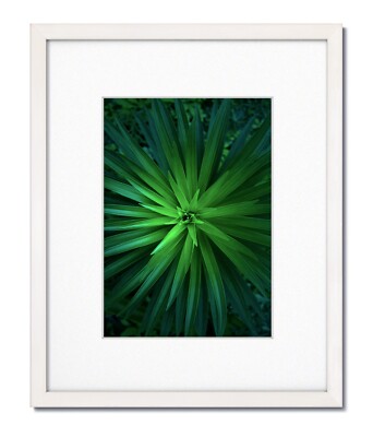 16x20 EcoLine White Picture Frame with Single White Mat for 11x14