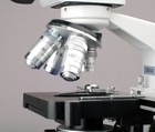 AmScope 40-2500X LED Digital Binocular Compound Microscope +3MP Camera+ ...