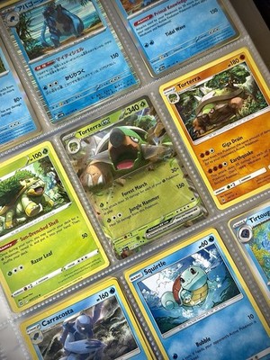 Pokemon Turtle & Tortoise Theme Binder Page Lot 9 - Torterra ex Squirtle Holos