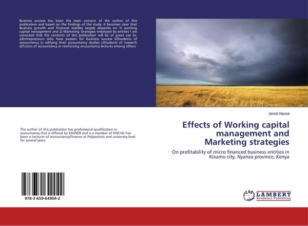 Effects Of Working Capital Management And Marketing Strategies Jared Hasea-image