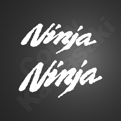 Winter Test style NINJA graphics to fit Kawasaki ZX-10R 6R Race