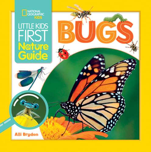 Little Kids First Nature Guide Bugs by Alli Brydon: Used