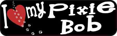 10x3 I Love My Pixie Bob Cat Bumper Sticker Vinyl Window Pet Decal Stickers