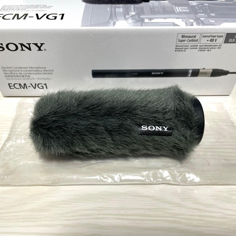 MICROPHONE À CONDENSATEUR Sony ECM-NW10 Electret pour enregistrement