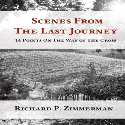 Scenes From The Last Journey Zimmerman Richard P. Paperback Novo