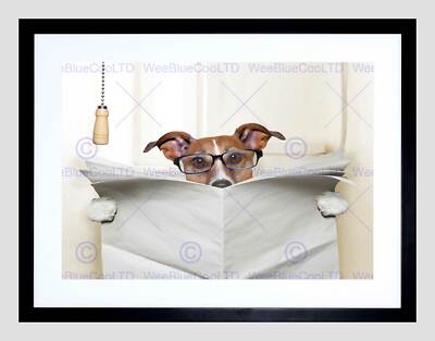 PHOTO MOCK UP JACK RUSSELL TOILET READING NEWSPAPER FRAMED ART PRINT B12X13315