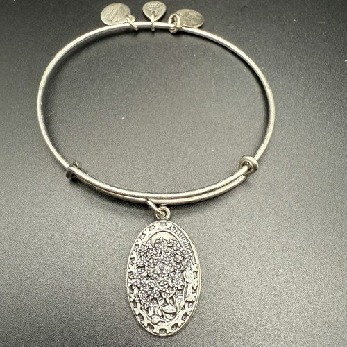 Alex And Ani Daughter Red Crystal Path Of Life Charm Bracelets Set Of 3 Stack - 第 2/11 張圖片