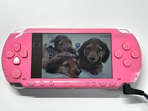 Item Picture