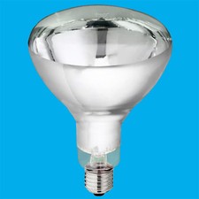 10x 250W IR Heat Lamp, Food Service, Catering Display, Infra Red Light Bulbs
