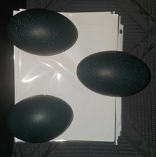 Blown Emu Egg Shell for Crafts. Great emerald color, and full cleaned