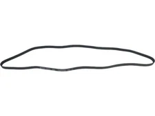 For 1988 Ford Thunderbird Multi Rib Belt Main Drive API 96821XC 3.8L V6