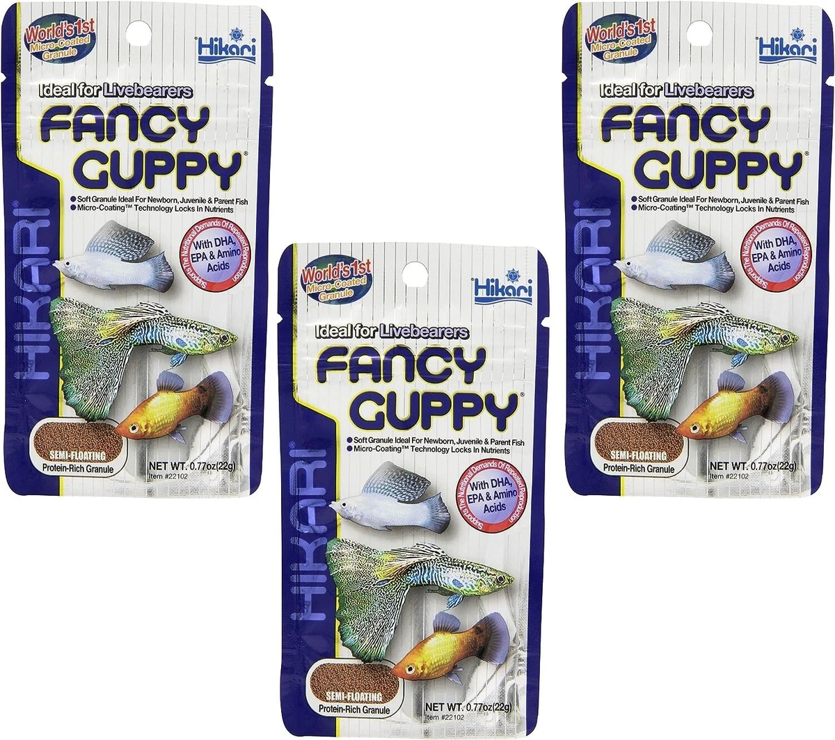 Fancy guppy store fish food