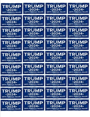 Trump 2024 Save America Again