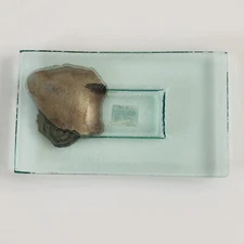 Glass Plate Tray Rectangle Metallic Bronze Accent Thick Modern Luxury 9"x5"Heavy