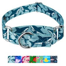Country Brook Petz Martingale Dog Collar - Critter Corner Collection