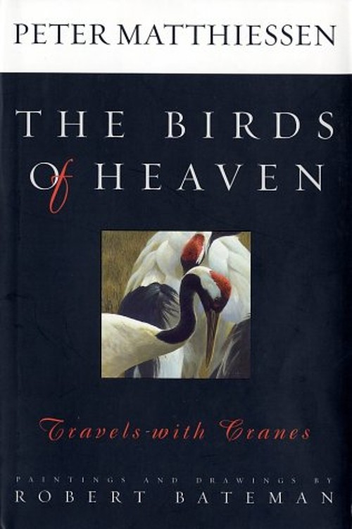 The Birds of Heaven : Travels with Cranes Hardcover Peter MatthieFree US Delivery | ISBN:0374199442