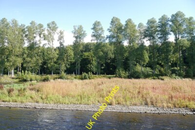 Photo 6x4 Poplars, Mertoun Maxton/NT6130 A shingle island and poplar woo c2015