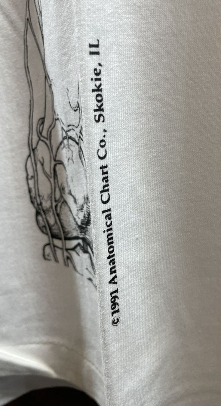 RARE VINTAGE 1991 Anatomical Chart Co Skokie, IL Anvi… Gem