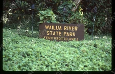 sl04 Original Slide 1980's  Hawaii Wailua  River State Park 726a
