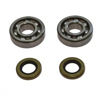 Kurbelwellenlager Satz All Balls Mit Simmerringen 24-1102 FüR Kawasaki KX 125 L