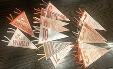 Baby Girl Milestone Pennant Signs Monthly Milestone Banner Flags Photo Props