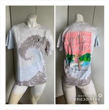 Simply Southern Somebody Take Me To The Mountains size medium T-shirt blue/gray