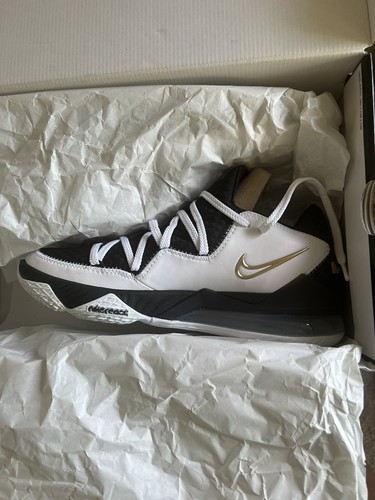 NIKE NEW LEBRON 17 XVII LOW WHITE BLACK 