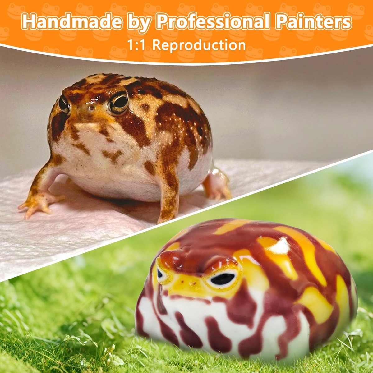 Cute Desert Rain Frog Squishy Toy - Kawaii Stress Relief Fidget