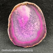 Natural Agate Slice 2-2.5 Inch Banded Chalcedony Quartz Crystal Mineral