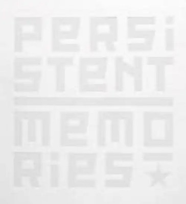 Persistent Memories