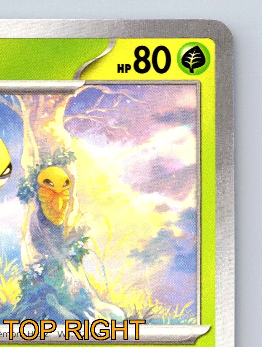 Kakuna HP 80 Cocoon Cover Ability Zzzt Attack Green Glow Pokémon