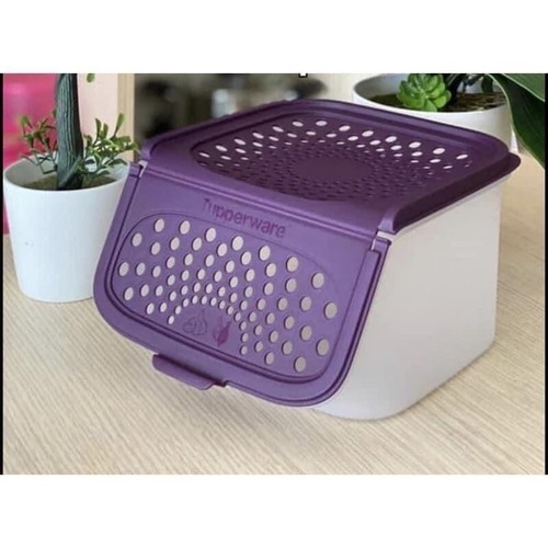 Tupperware Onion & Garlic Smart Container 2.3L Garlic N All Potato