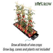 Autopot Tray2Grow - Automatic Plant Watering System  Complete Kit & Accessories.